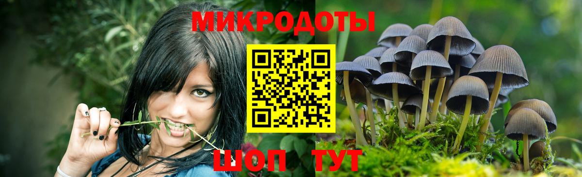 Галлюциногенные грибы мицелий  Вход с VPN  Псилоцибиновые грибы GOLDEN TEACHER  Вологда 